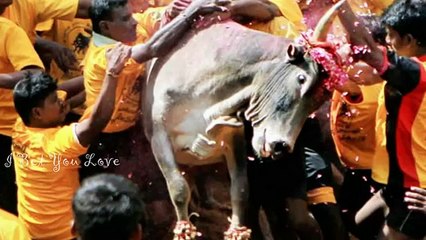 oru vela ippadiya irukkumo - jallikattu ban- Vera level