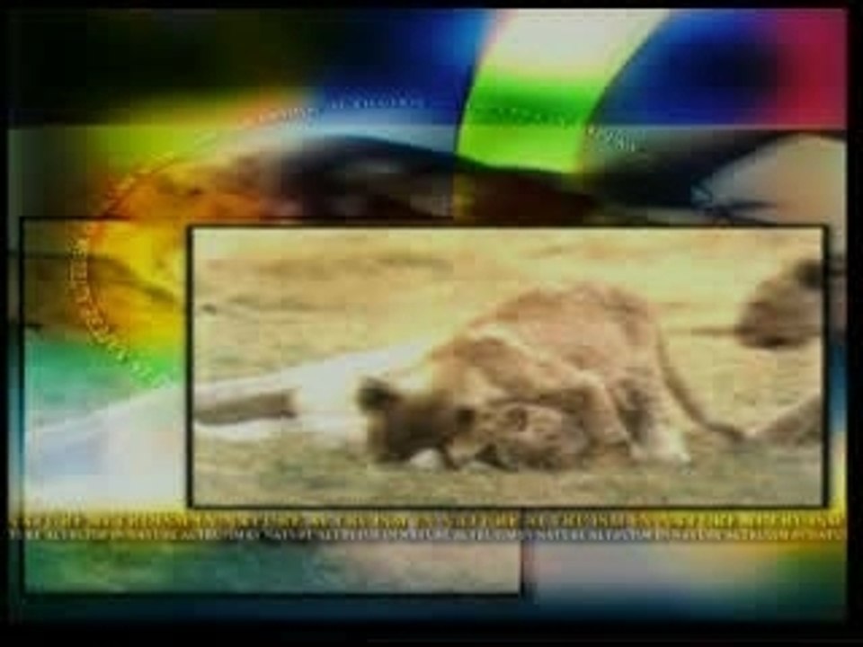 Harun Yahya - 05 Conclusion Fact Of Creation