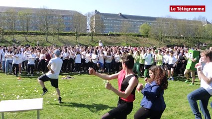Dinan. Journée de l'expression au lycée de la Fontaine des Eaux
