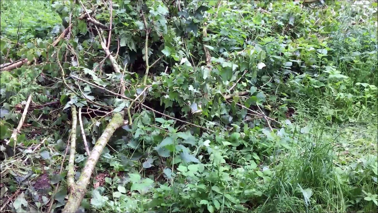 Timelapse Zeitraffer - Pinneberg an der Mühlenau Mai 2016 /Full Film/Complete Movie/Ganzer Film