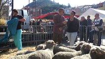 Alpes-de-Haute-Provence : les paysans réunis à Digne-les-Bains pour la fête de l'Agneau Pascal