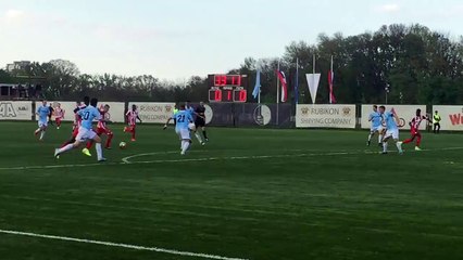 Plavsic gol sa terena / Rad - Crvena zvezda 0:1