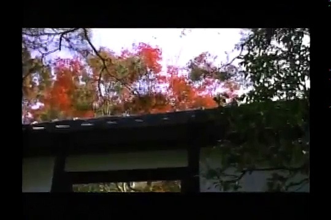 Dream Window: Reflections on the Japanese Garden part 1/2