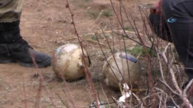 Bomba Sanılarak Paniğe Neden Olan Cisim Havai Fişek Çıktı