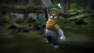 Star of Heroes Hero Spotlight - Chief C