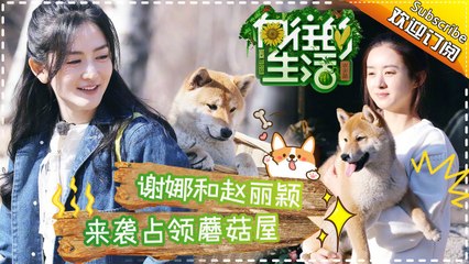 《向往的生活》第13期20170409: 赵丽颖放飞自我秒变谐星 孙红雷调皮捣蛋“玩坏”黄磊 Happy Life EP.13【湖南卫视官方频道】