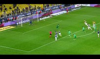 Ricardo Vaz Te Goal HD - Fenerbahce 1-1 Akhisar Genclik Spor - 09.04.2017