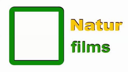 El acueducto más antiguo del mundo en Roma