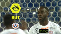 But Jonathan IKONE (88ème) / SM Caen - Montpellier Hérault SC - (0-2) - (SMC-MHSC) / 2016-17