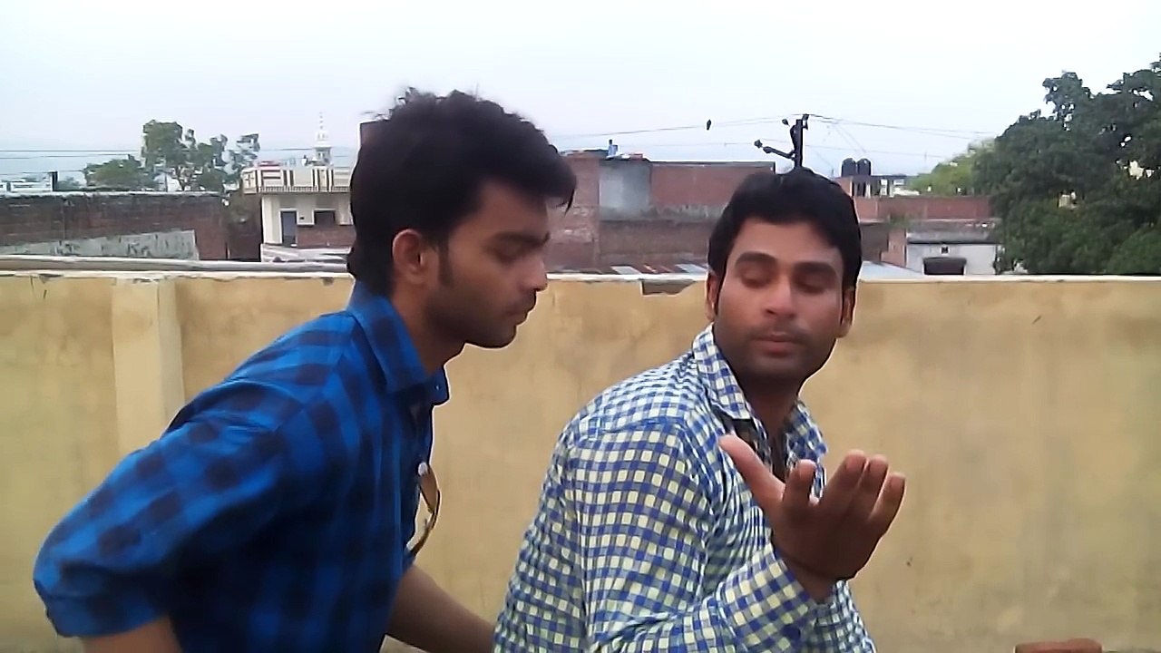 funny videos