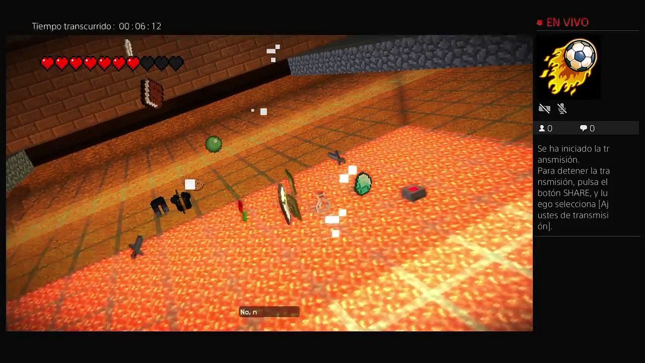 Minecraft (23)