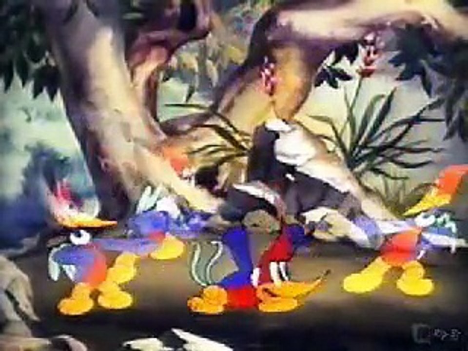 Pica Pau - Pica Pau biruta