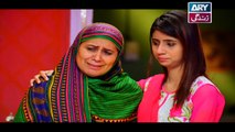 Haya Kay Rang Episode 65 - on Ary Zindagi in High Quality 10th April 2017
