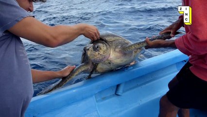 Meet the Latest Phantom Menace of Our Oceans
