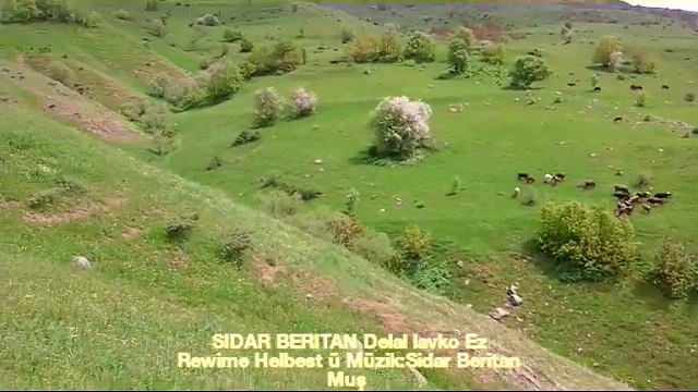 dengbej Sidar beritan delal lawko ez rewime uzun hava dengbeji