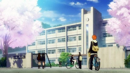 Haikyū!!  - Nummer Eins (AMV)