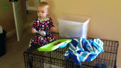 Funny Babies Acting Like Animals Compilation 2017