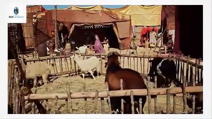 Josue y la tierra prometida Capitulo 23 Idioma Español