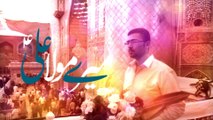Safeer E Aza Syed Ameer Hasan Aamir Manqabat 2017 Mere Mola On 13 Raja 2017