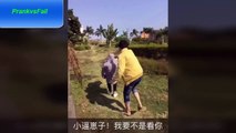 PvF Top Funny Videos  Chinese Pranks Fails Funny Compilation  Try Not To Laugh Challenges