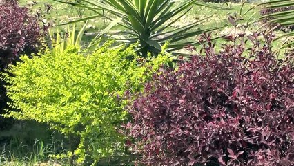 Saleebi geet.  yosu tari soli do........ - Sumbal Rafuiquee Gospal Singer