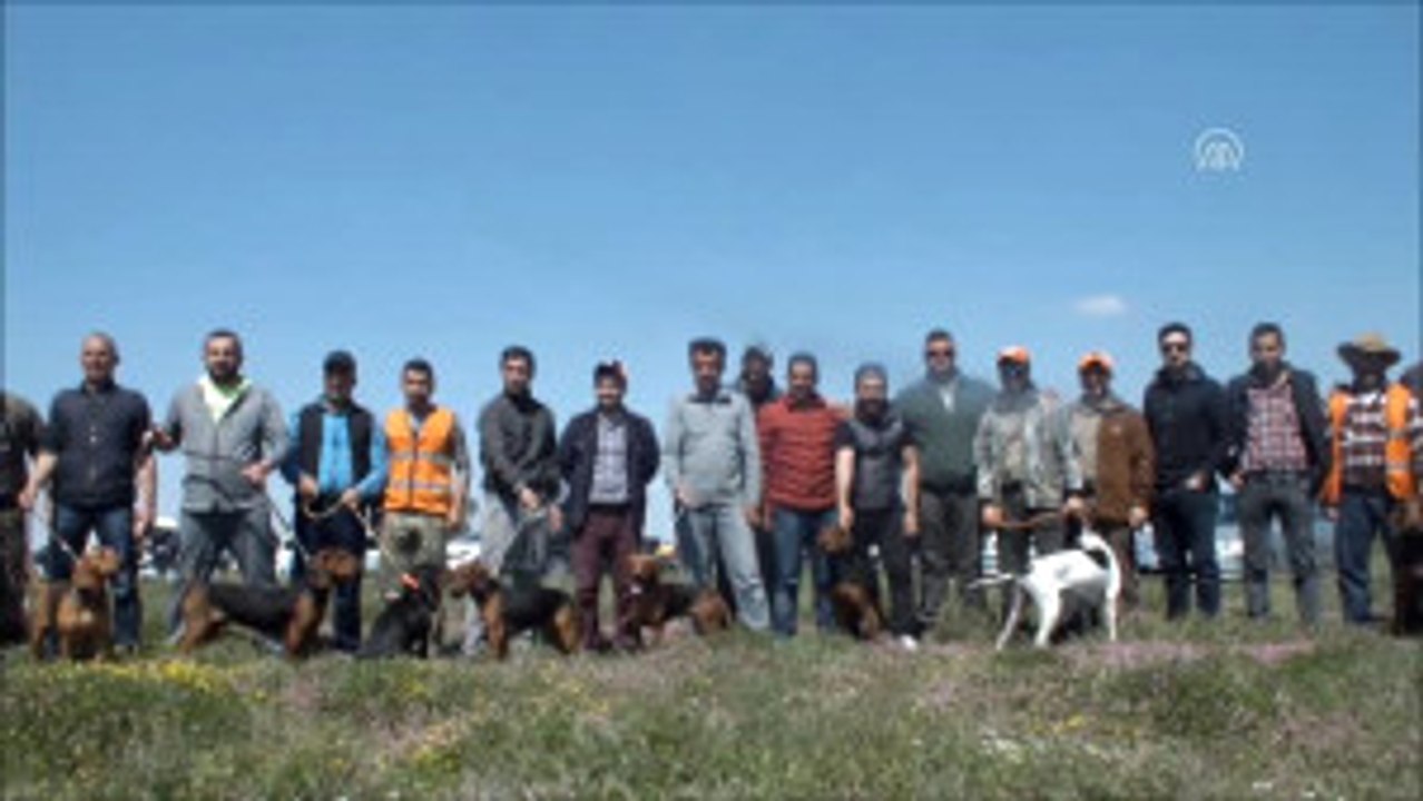 1. Fermalı, Secereli Av Köpekleri Yarışması Yapıldı