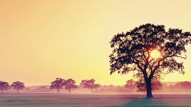 Background Music For Documentary - Royalty-Free Soundtrack BestDramaTv.Net