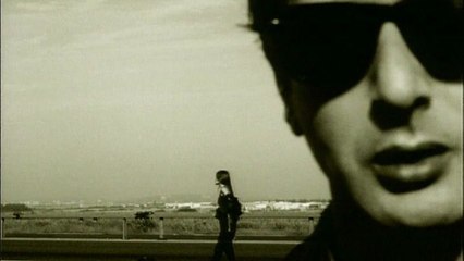 Alain Bashung - Volutes