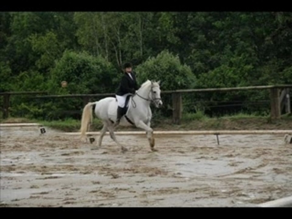 Cour au Bois 17.05.07