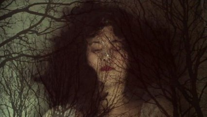 The Naked And Famous - Punching In A Dream