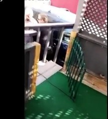 Police officer punches uncooperative woman in the face