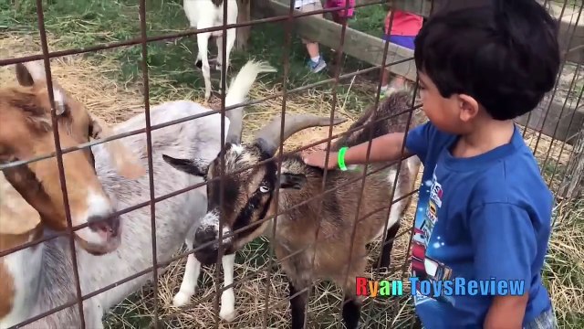 Kids Family Fun Trip to the Farm and Children's Museum! Play Area Children Activities