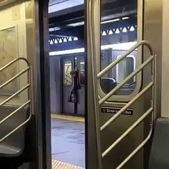 People Ignore Woman With Her Head Stuck in NYC Subway Doors