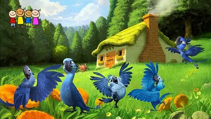 Cartoons for Kids   Cabbage Finger Family Family Finger Song446