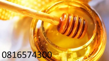 0816574300 Harga Madu Murni Per Botol