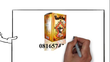 tongkat arab obat multifungsi masa kini