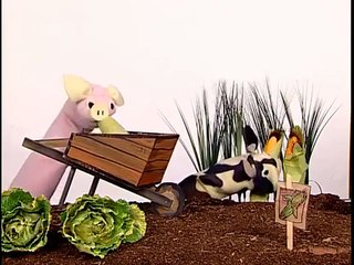 Baby Einstein - Baby MacDonald: A Day on the Farm (new)
