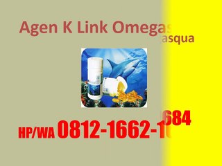 0812-1662-1684 (Tsel), Khasiat Omega Squa K-Link, K-Link Omegasqua Harga