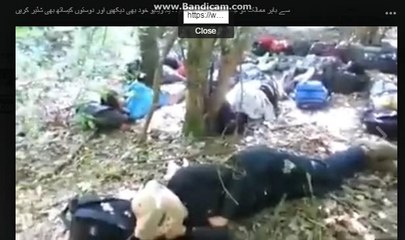 watch people who went through unauthorised agents