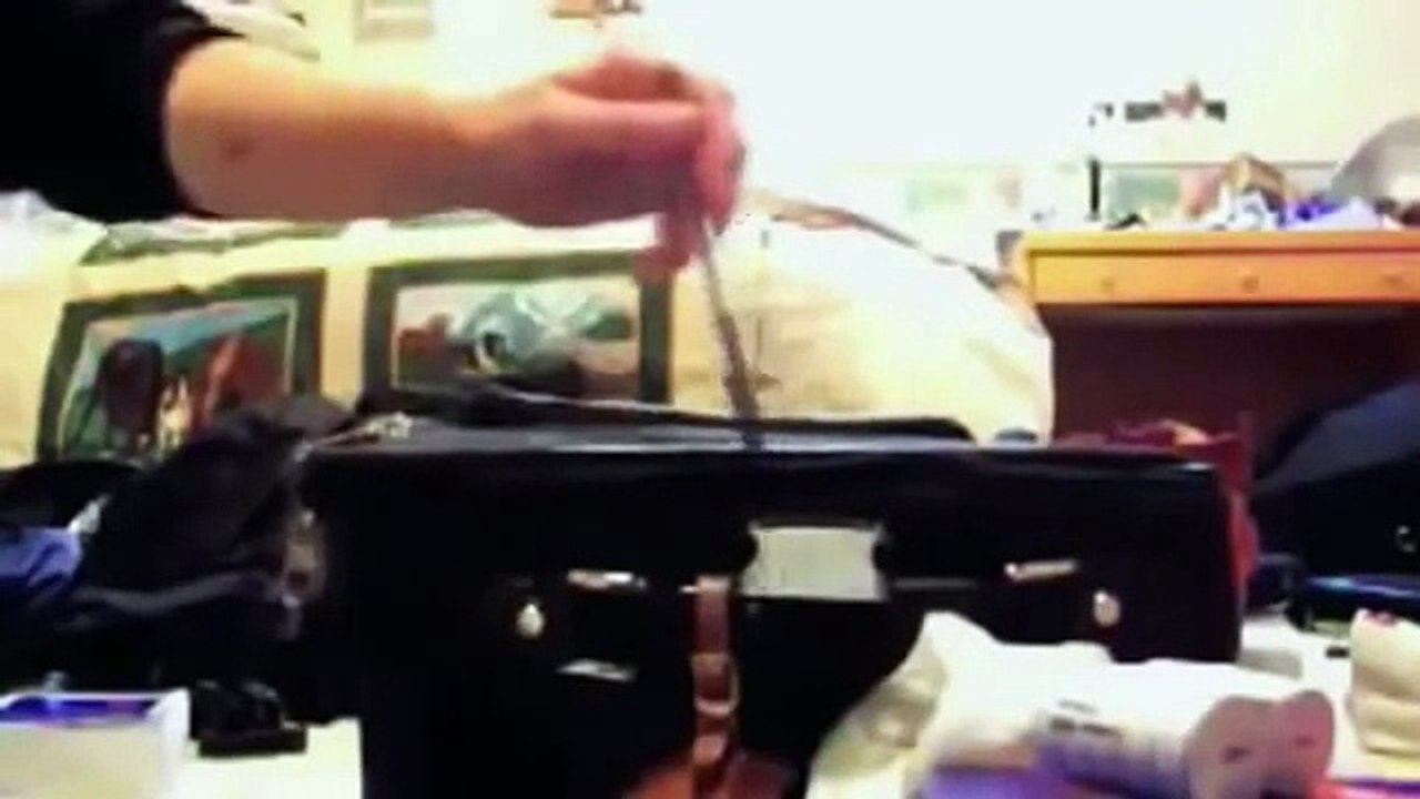Epic Funny Cats 1 Minute