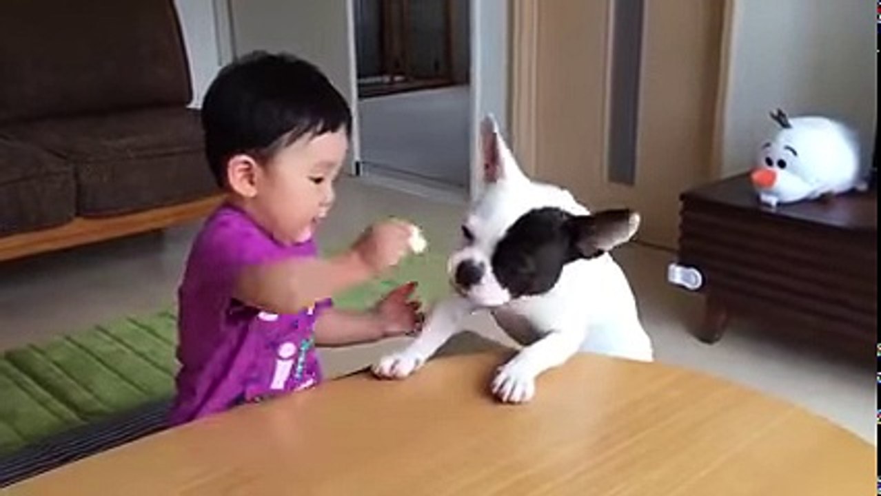 Whatsapp funny videos 2016