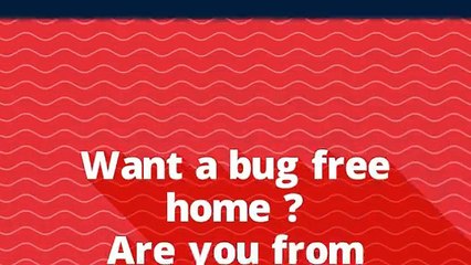 German Cockroach Extermination in Sydney