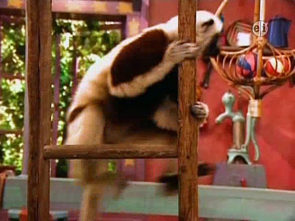 Zoboomafoo - Playtime