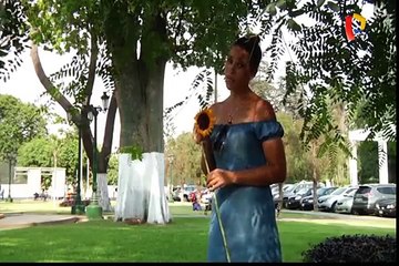 Volverte a ver: corazones que se juntaron nuevamente