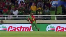 Best Unbelievable & UNPREDICTABLE CATCHES IN CRICKET History Ever