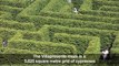 Visitors explore massive outdoor maze in northern Spain