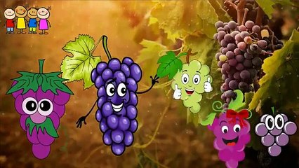 Tomato- Brinjal-Watermelon-Gorilla Finger Family Cartoons   F
