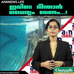 ഇവിടെ നീന്താന്‍ ധൈര്യം വേണം...!!! #ANNnewsLife