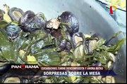 Sorpresas sobre la mesa: cucarachas, carne descompuesta y ratas