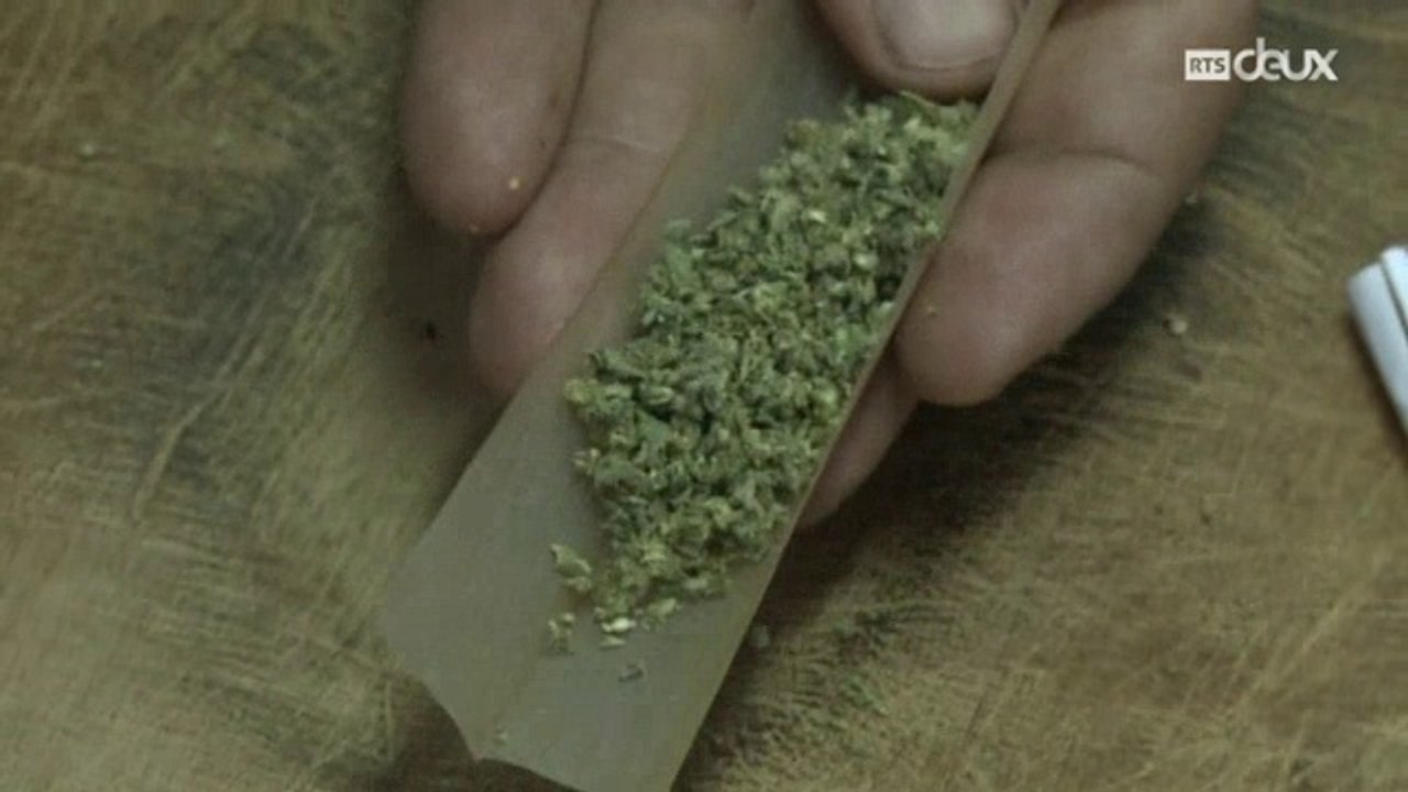 Falò : CannaBis ! (Avril 2017) (RTS) (FR)
